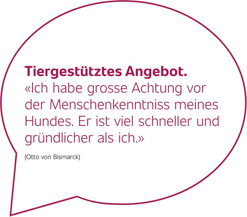bubbletierangebot